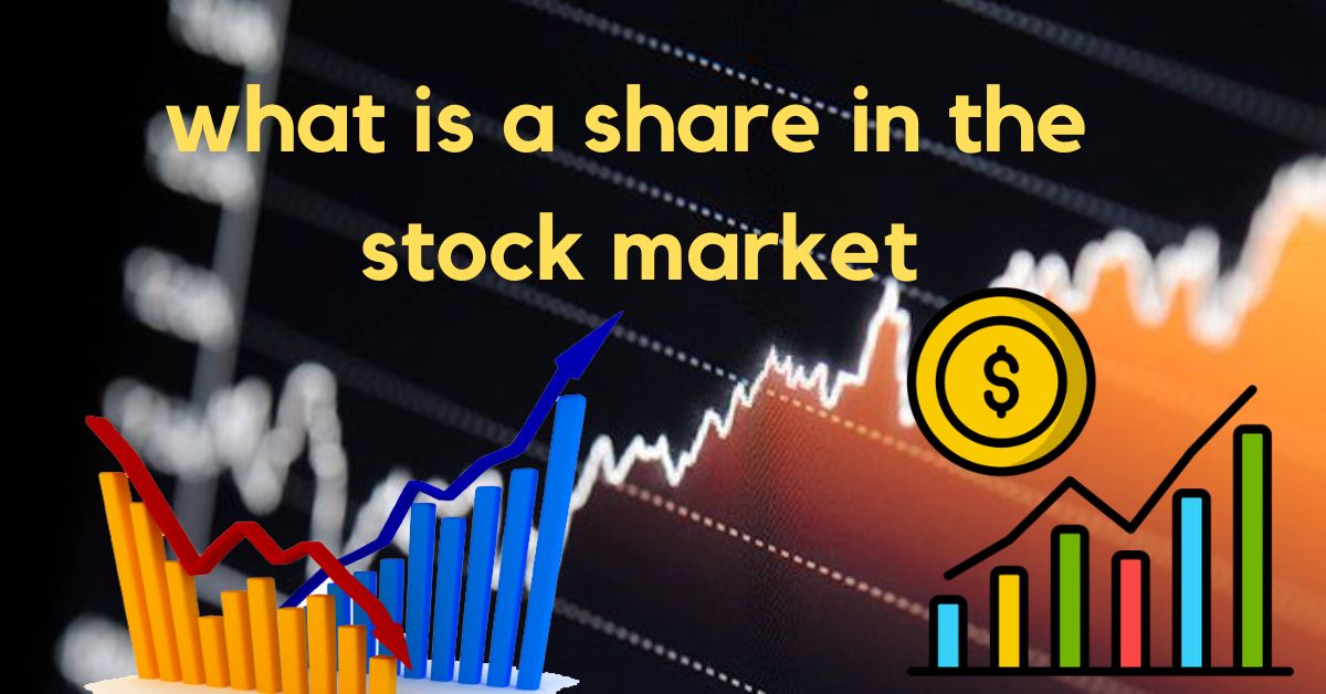 what is a share in the stock market
